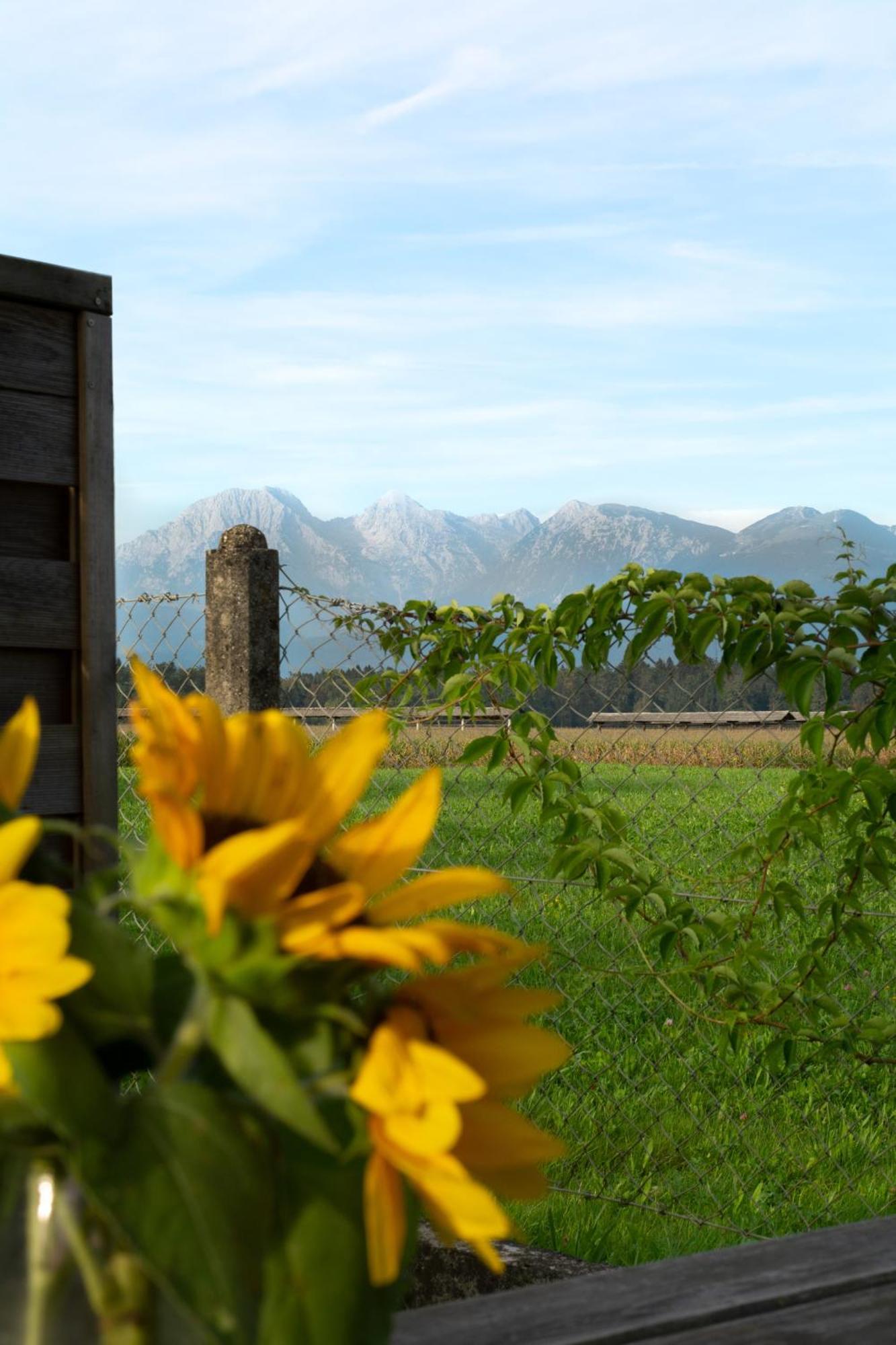 Glamping With A View Vila Smlednik Exterior foto